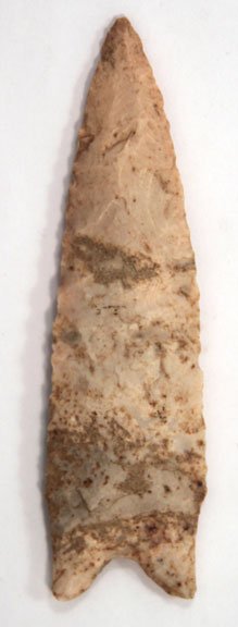 11254518_1_l.jpg
