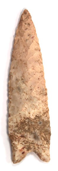 11254518_2_l.jpg