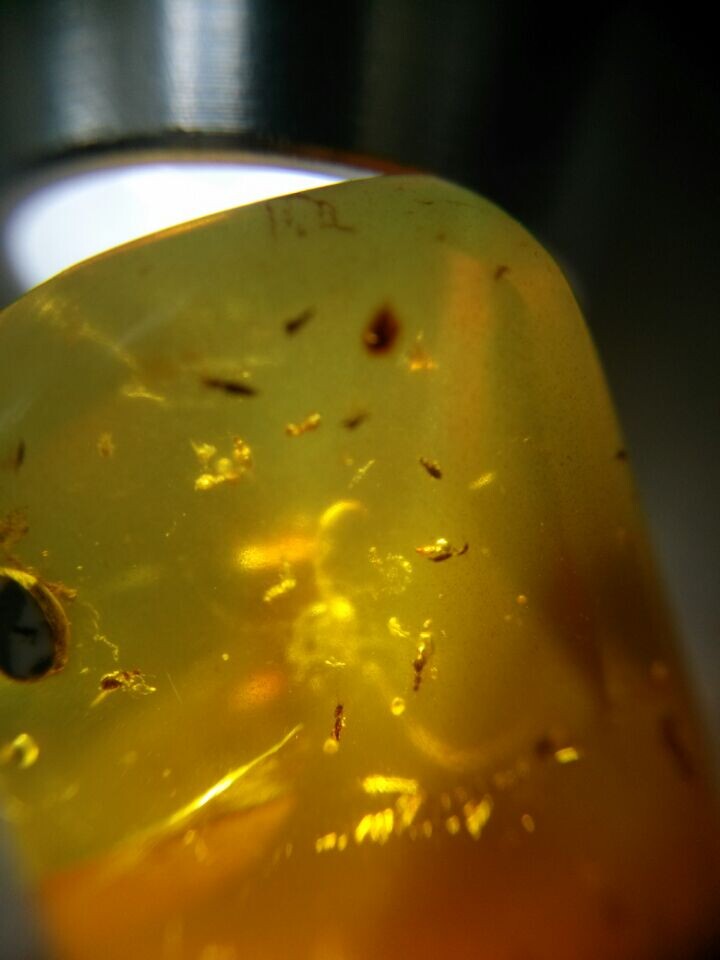 QQ图片20140630163010.jpg