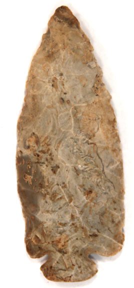 11254640_1_l.jpg