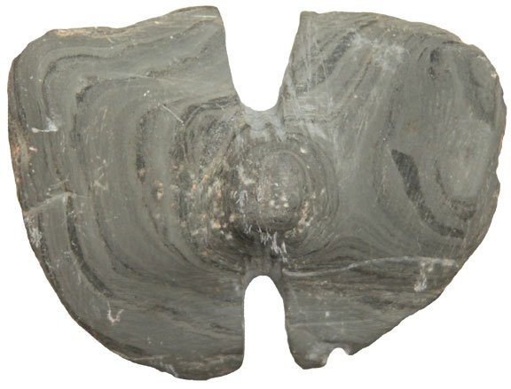 11940591_2_l.jpg
