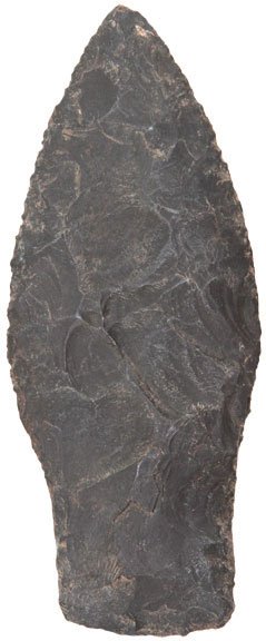 11940655_1_l.jpg