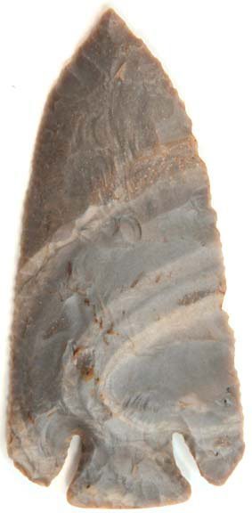 11940687_2_l.jpg