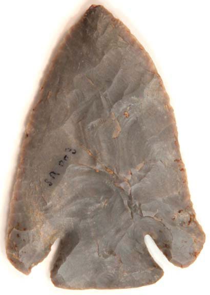 11940831_2_l.jpg