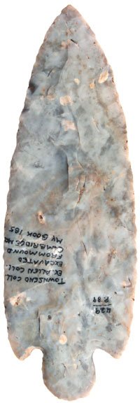 11940952_1_l.jpg