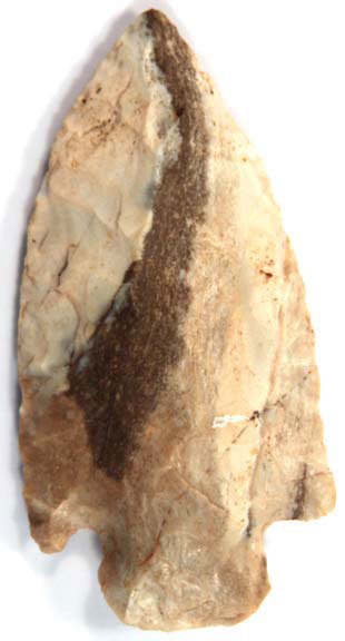 13085865_2_l.jpg
