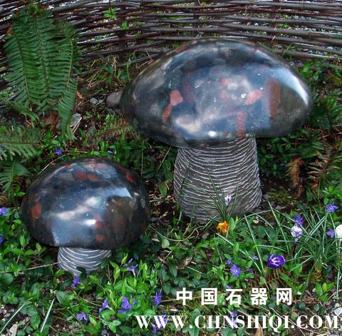conglom 2 new mushrooms1.JPG