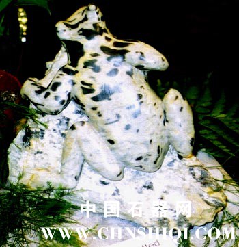 other stone sculpture Baby Seal Oberholtzer frog.JPG