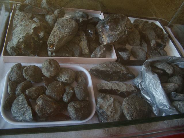 DSC04082.JPG