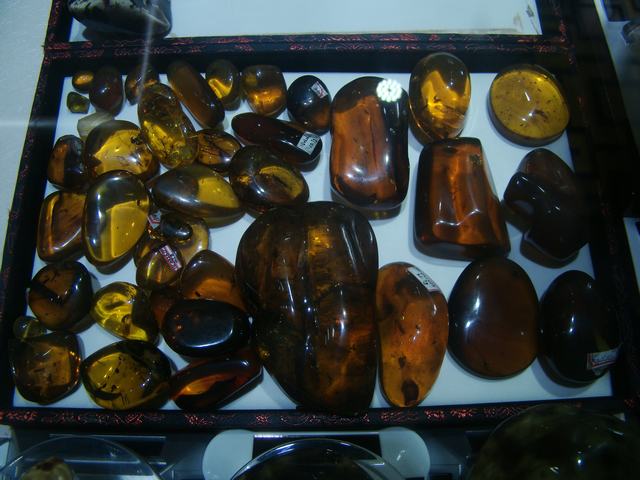 DSC04353.JPG