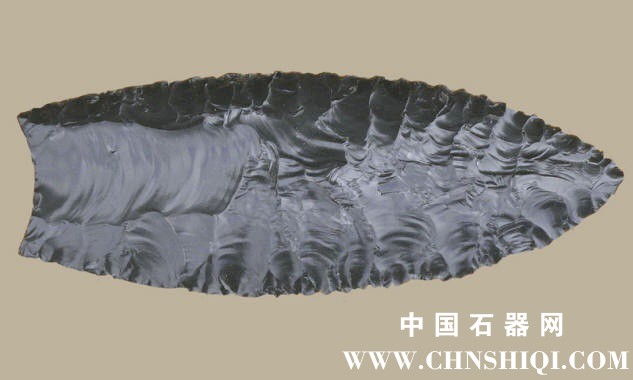 44e37a170494a32bcf1829ae7370ef5e.jpg