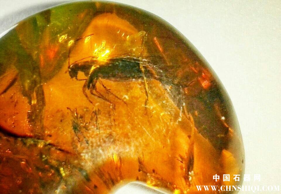 QQ图片20140918121646.jpg