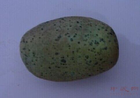 QQ图片20140930004708.jpg