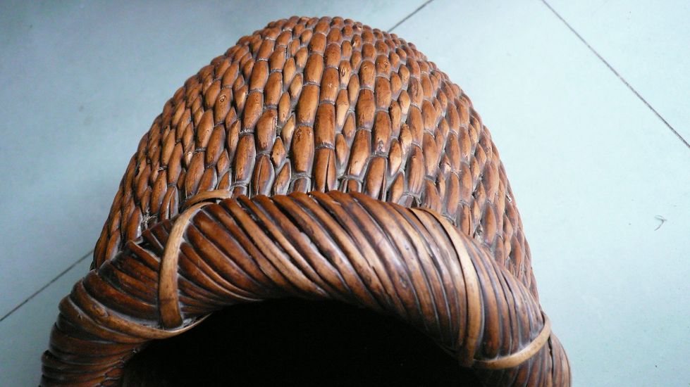 P1550333.JPG