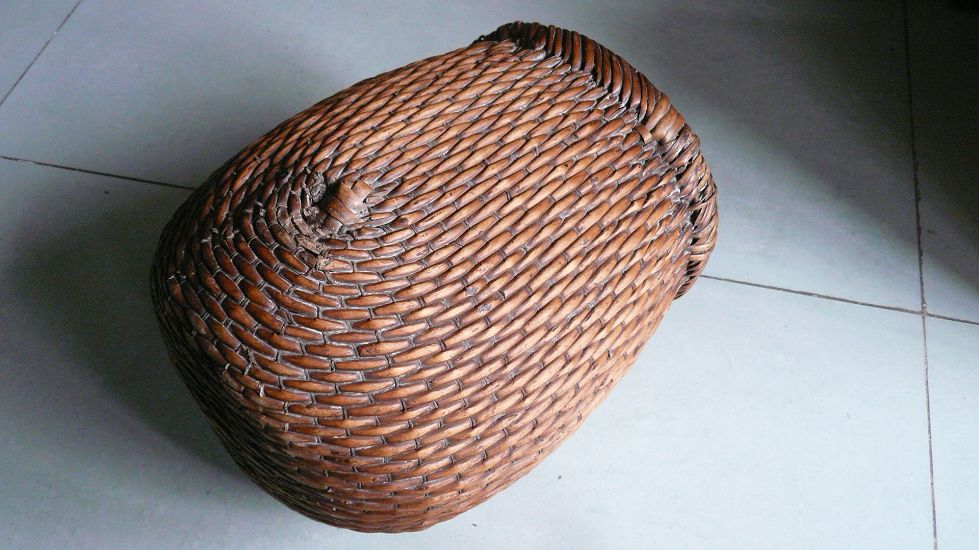 P1550334.JPG