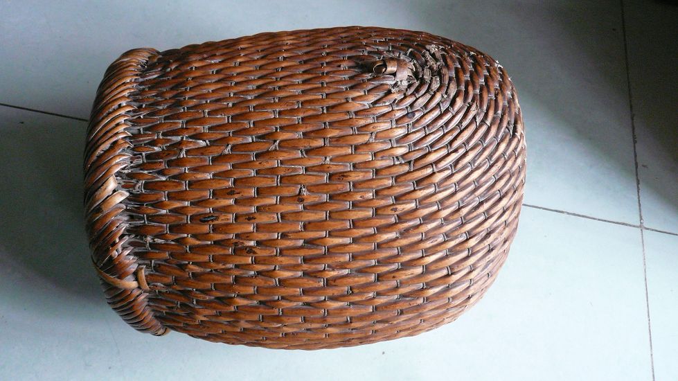 P1550335.JPG