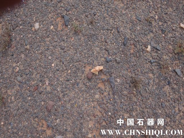 DSC00212.JPG