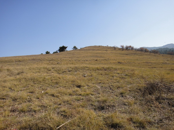 DSC08499_调整大小_调整大小.JPG