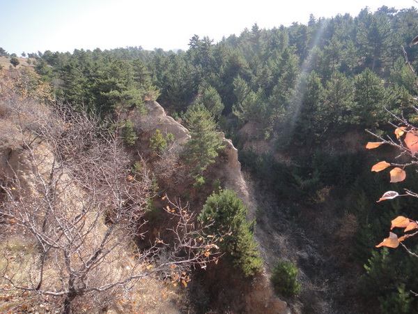 DSC08503_调整大小_调整大小.JPG