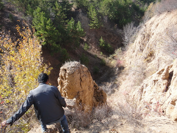 DSC08505_调整大小_调整大小.JPG