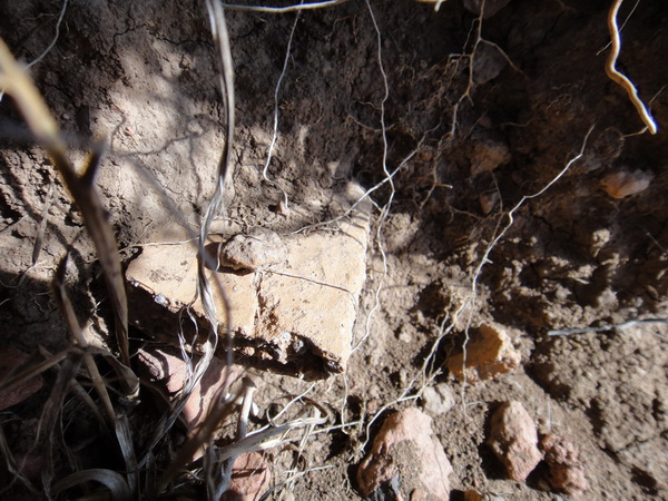 DSC08524_调整大小_调整大小.JPG