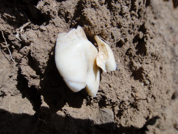DSC08526_调整大小_调整大小.JPG