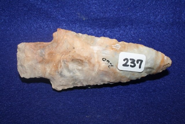 33008471_1_l.jpg