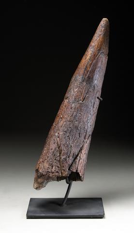 image (8).jpg
