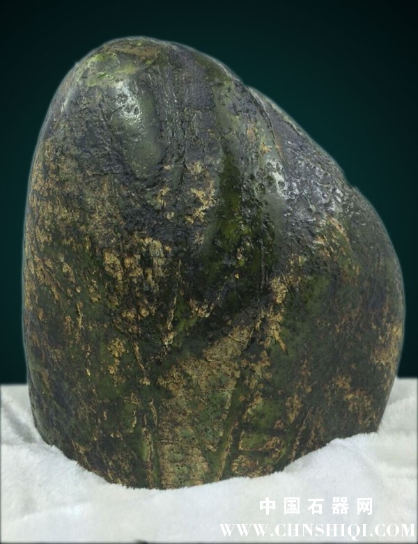 茂林修竹3.jpg