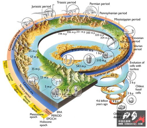 biological evolution(s).jpg