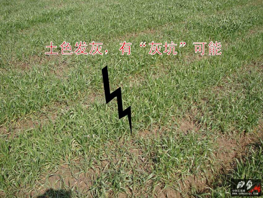 DSC03276 拷贝.jpg
