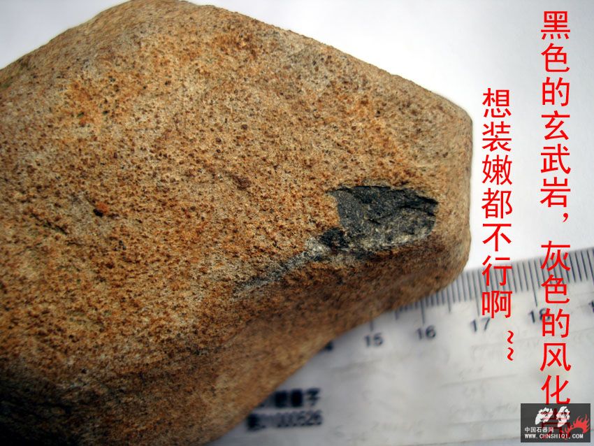 DSC03367 拷贝.jpg