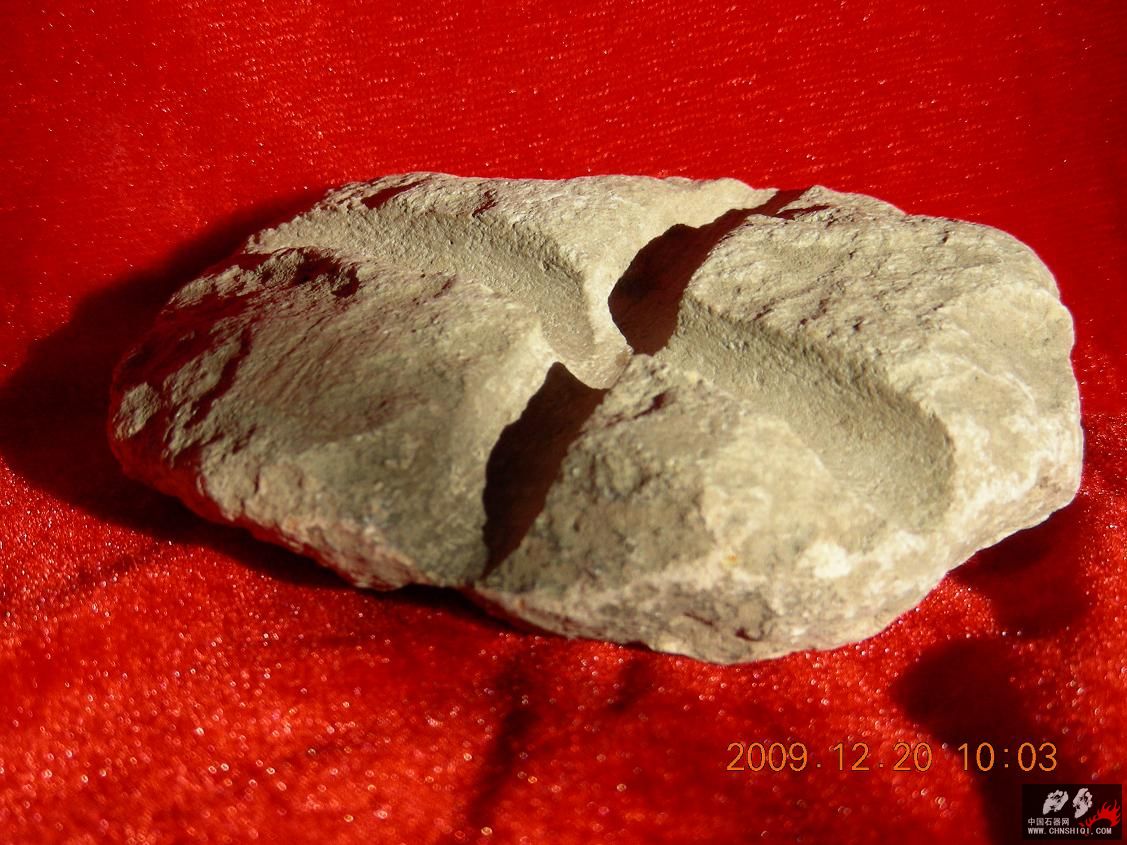 DSCN8599飞标-1SS.JPG