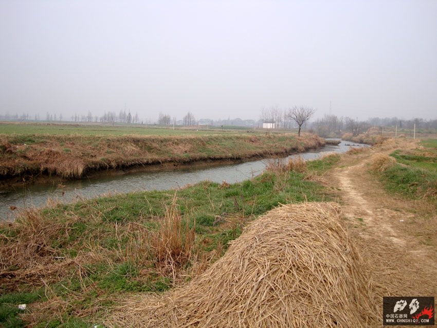 DSC03389.jpg