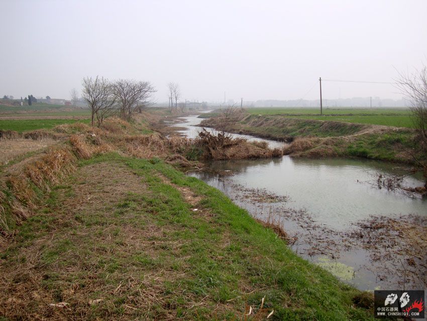 DSC03395.jpg