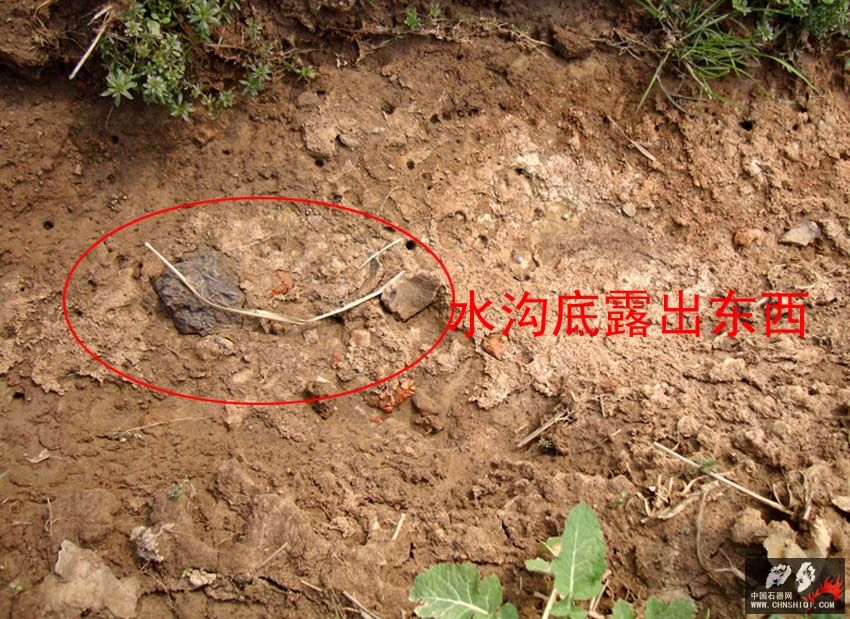 DSC03420 拷贝.jpg