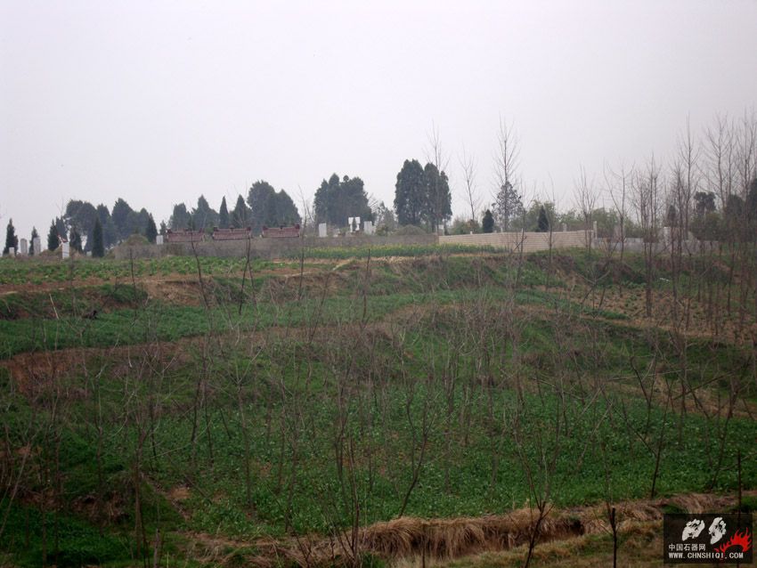 DSC03464.jpg