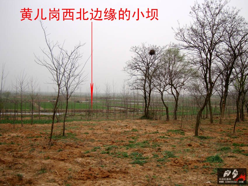 DSC03510 拷贝.jpg
