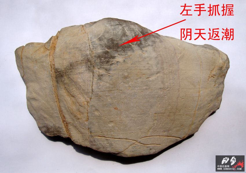 DSC03966 拷贝.jpg