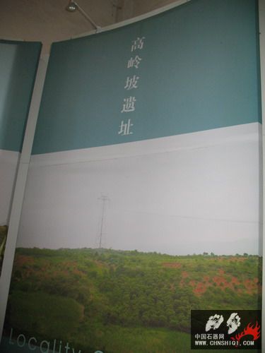 照片 158.jpg