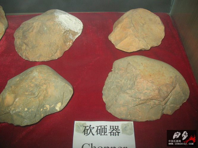 照片 169.jpg