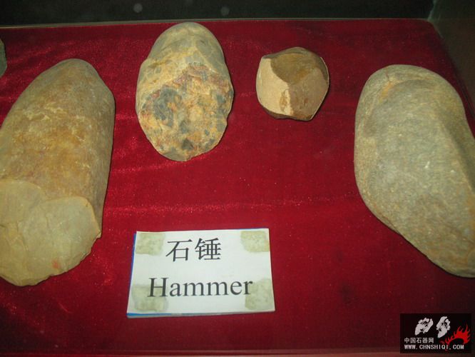 照片 172.jpg