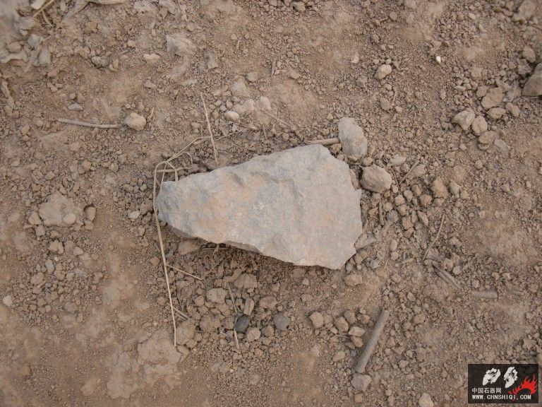 CIMG3544.jpg