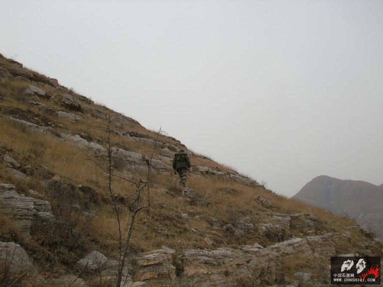 CIMG3590.jpg