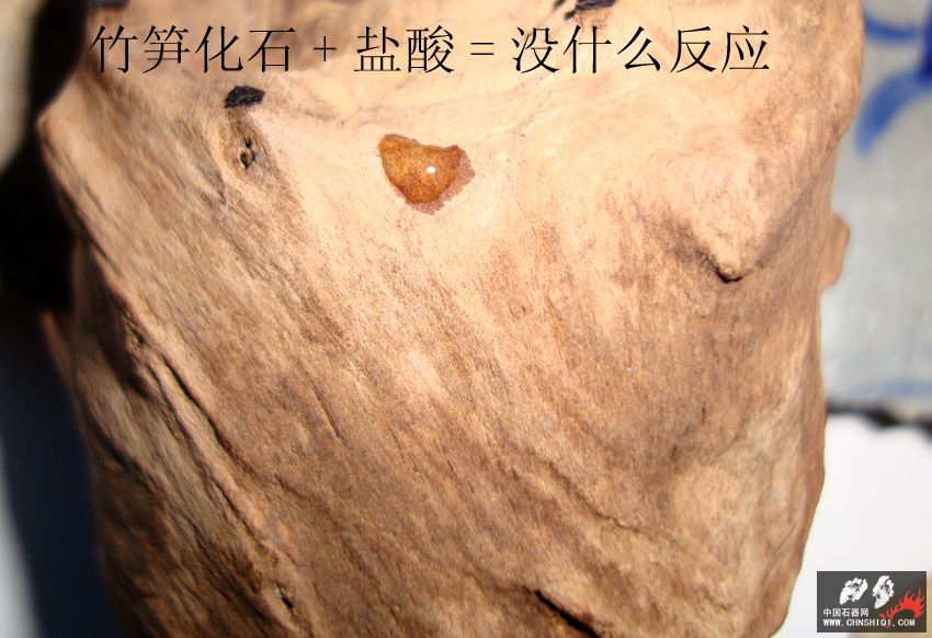 DSC03973 拷贝.jpg