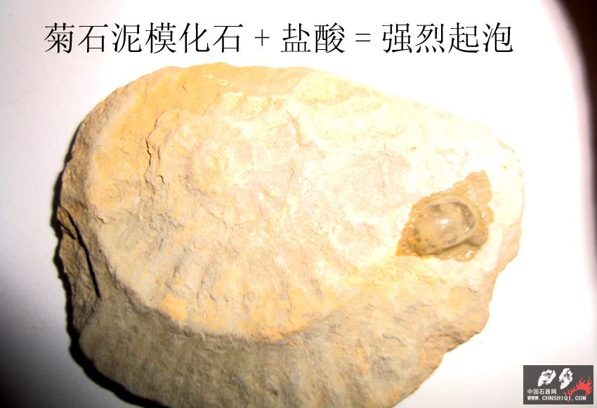 DSC03971 拷贝.jpg