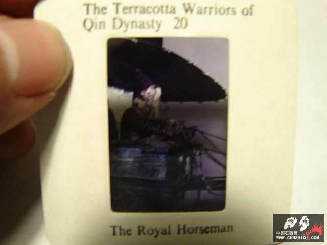 DSC01138.JPG