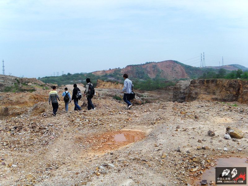 SDC13320.jpg