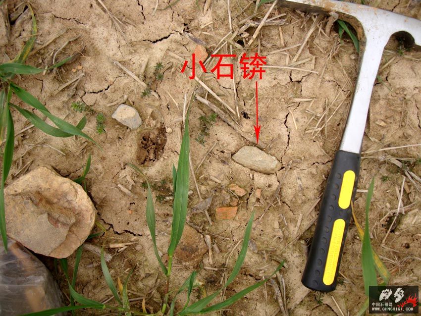 DSC03545 拷贝.jpg