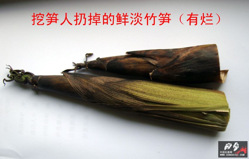 DSC04169 拷贝.jpg